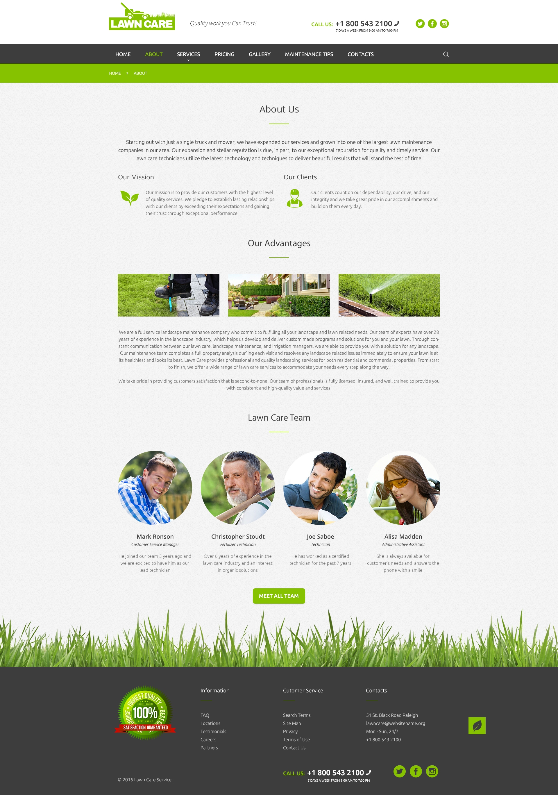 Home Page preview for Lawn care free PSD website template
