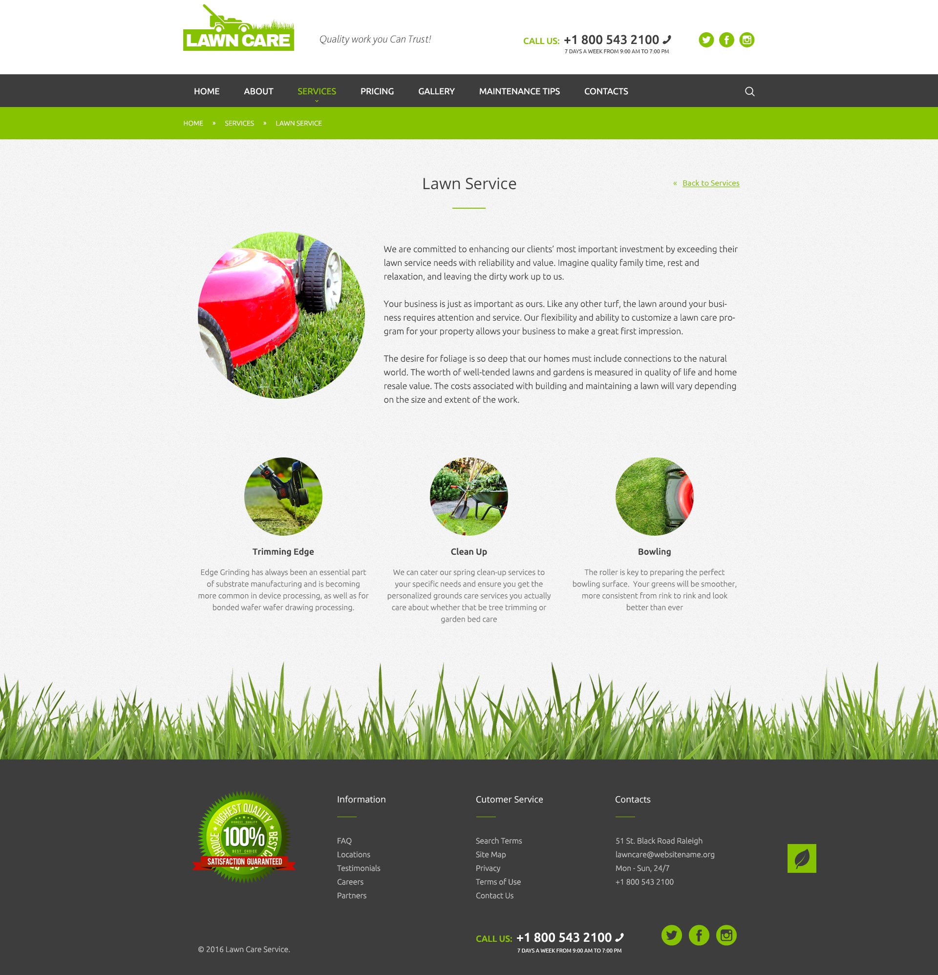 Home Page preview for Lawn care free PSD website template