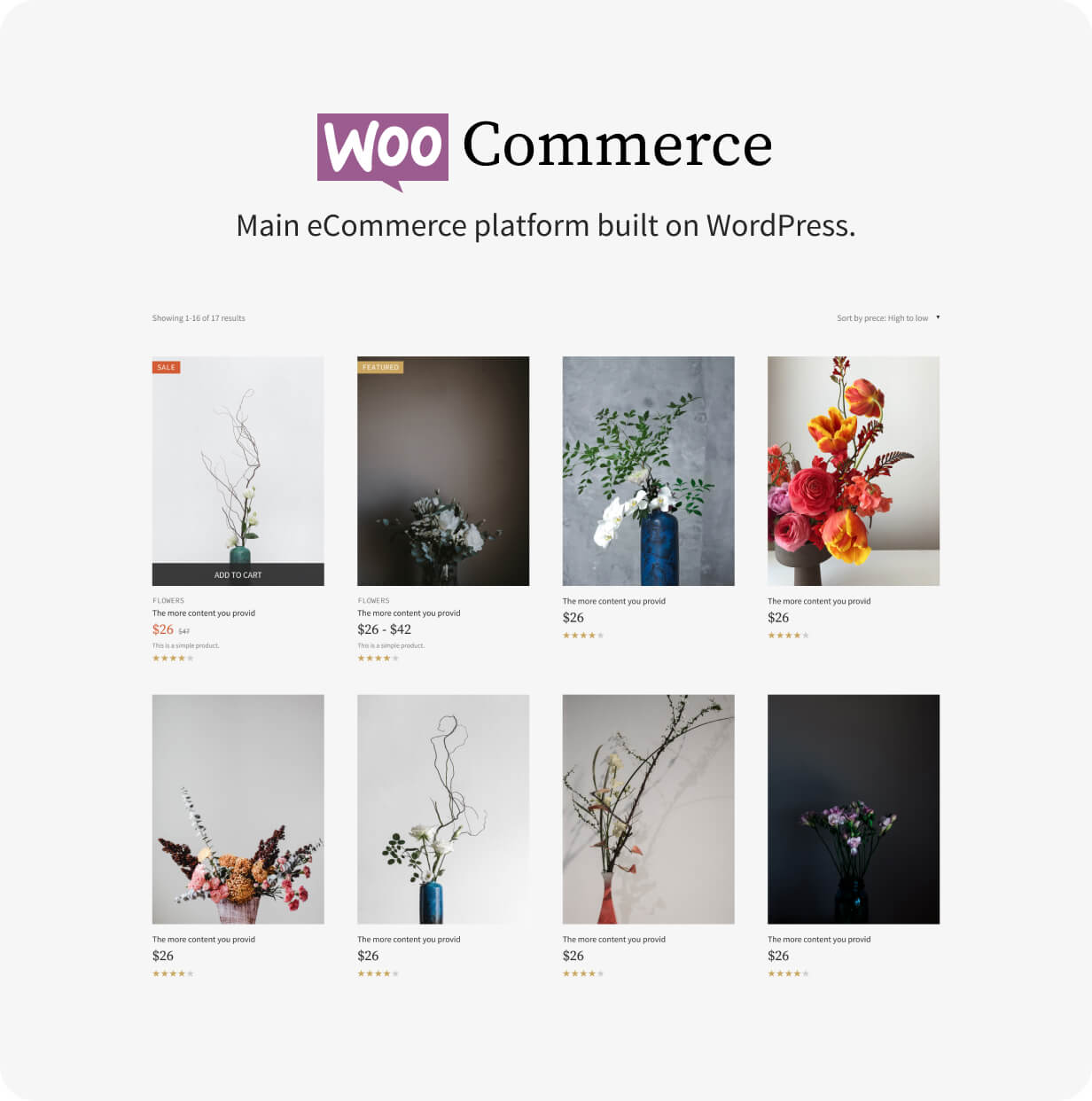 WooCommerce Main eCommerce Platform